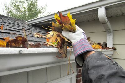 Edge and Gutter Repair